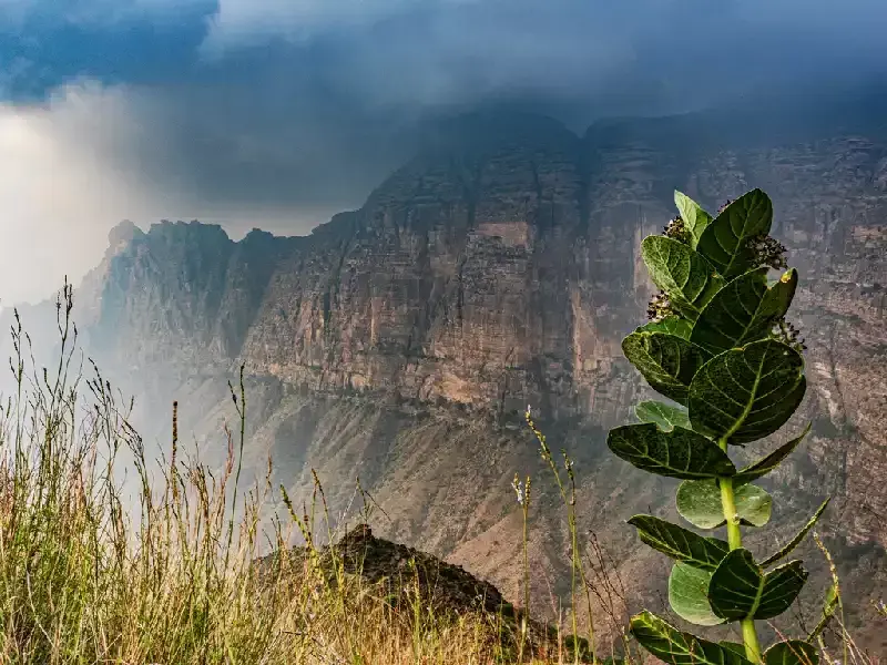 Città di Abha: La Perla Nascosta dell'Arabia Saudita